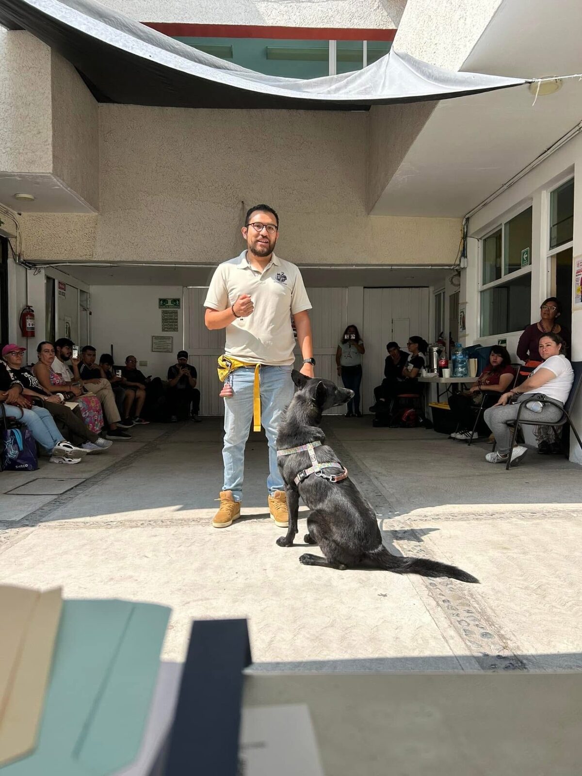Certificación en Adiestramiento Canino EC0058