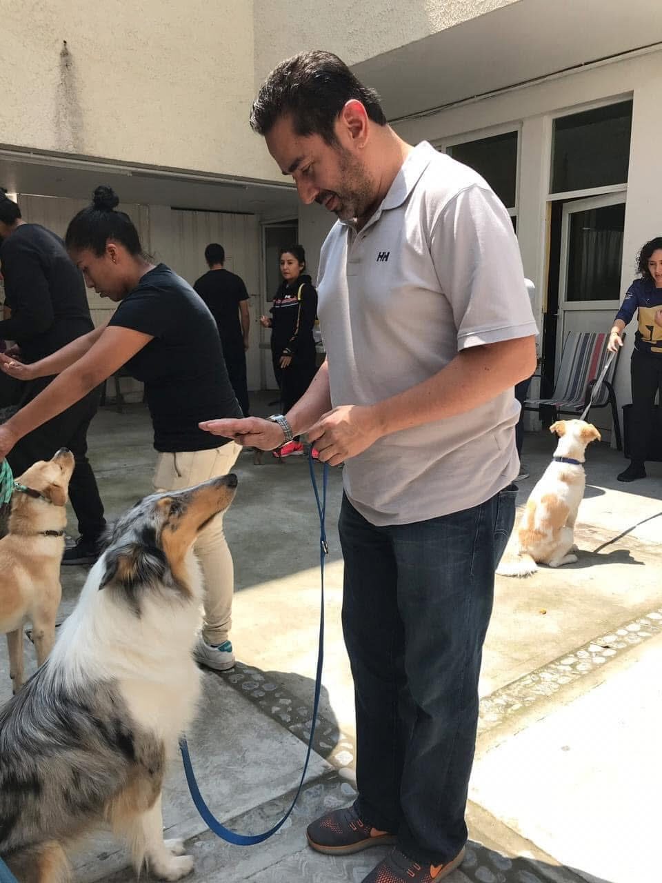 Certificación en Adiestramiento Canino EC0058