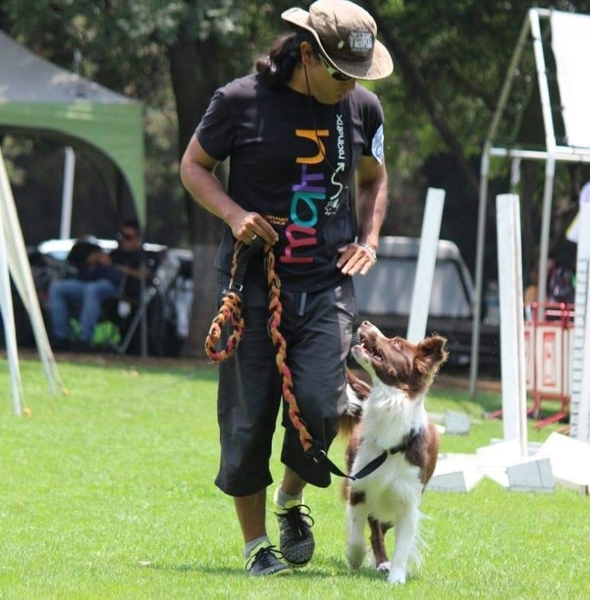 Adiestrador caminando con border collie en deporte canino